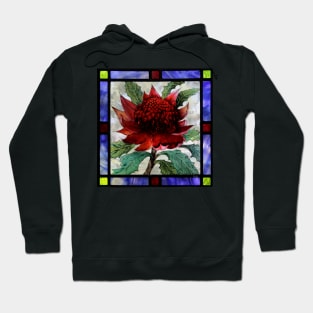 Telopea speciosissima Hoodie